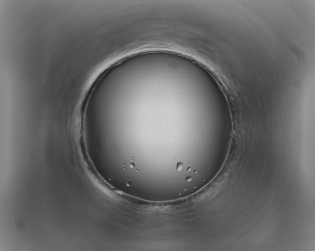 X0000112401519200908211104
