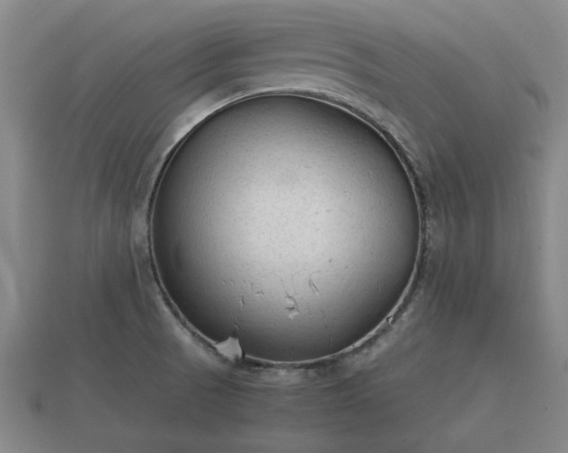 X0000112401521200908211104