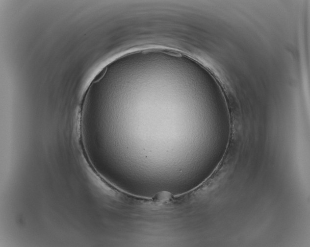 X0000112401524200908211104
