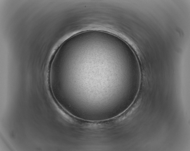 X0000112401525200908211104