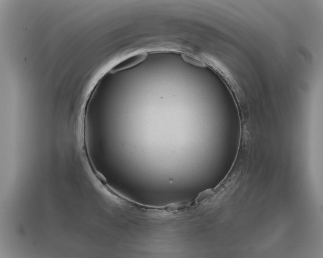 X0000112401528200908211104