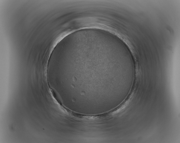 X0000112401529200908211104