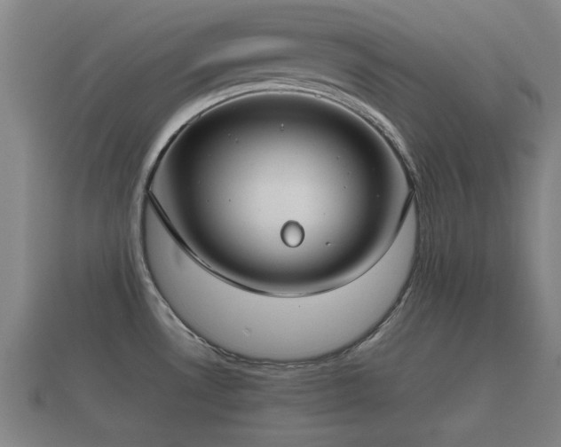 X0000112401530200908211104