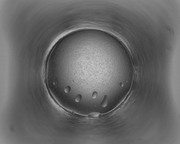 X0000112401531200908211104