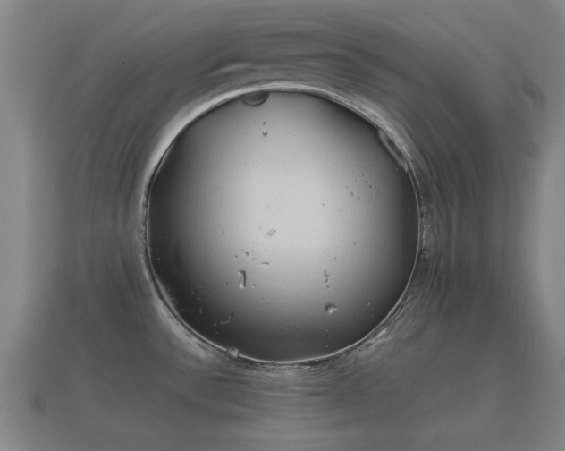 X0000112401532200908211104