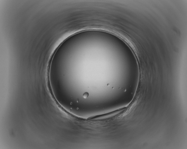 X0000112401533200908211104
