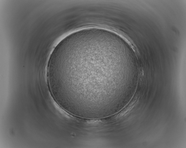 X0000112401535200908211104