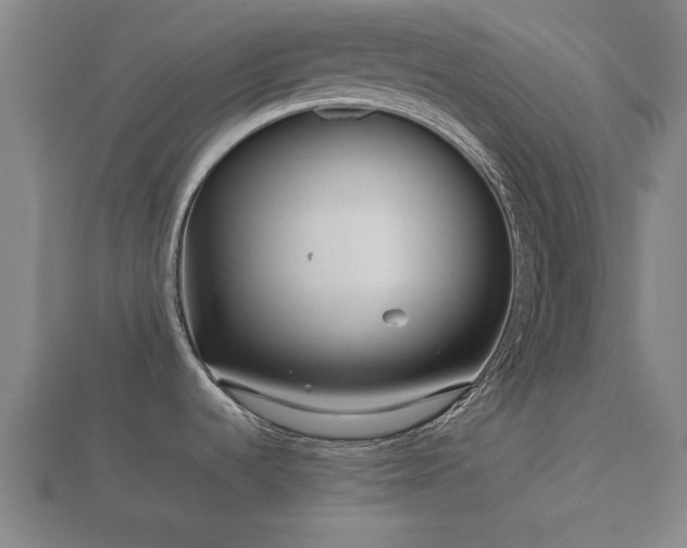 X0000112401536200908211104