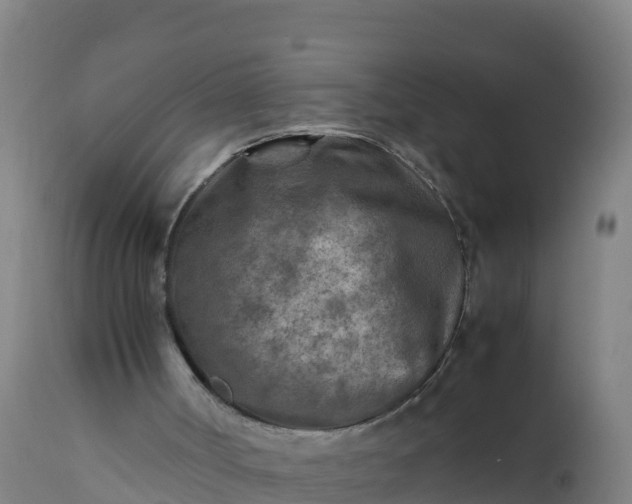 X0000112400002200908281801