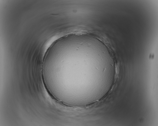 X0000112400003200908281801