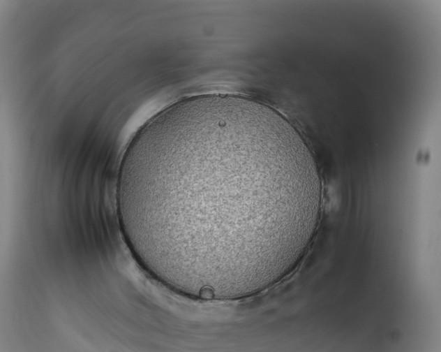 X0000112400004200908281801