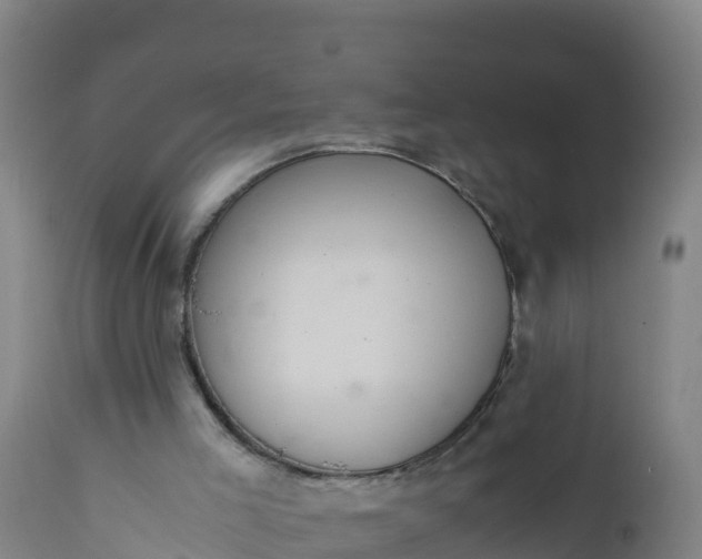 X0000112400005200908281801
