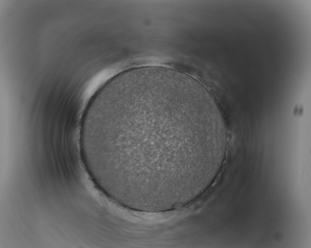X0000112400006200908281801