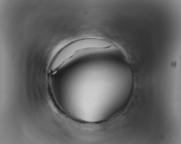 X0000112400008200908281801