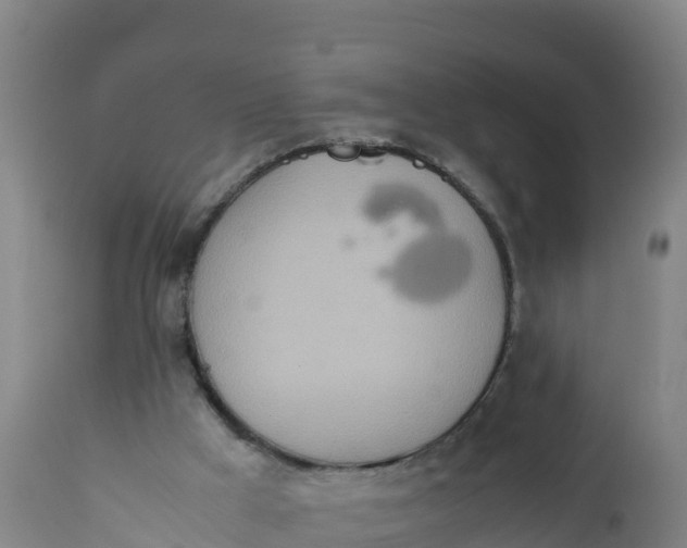 X0000112400009200908281801