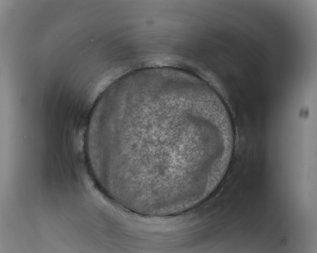 X0000112400010200908281801