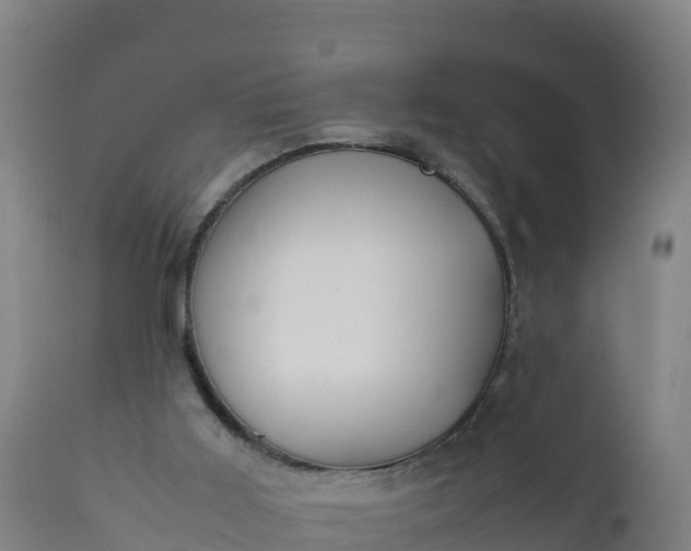 X0000112400011200908281801