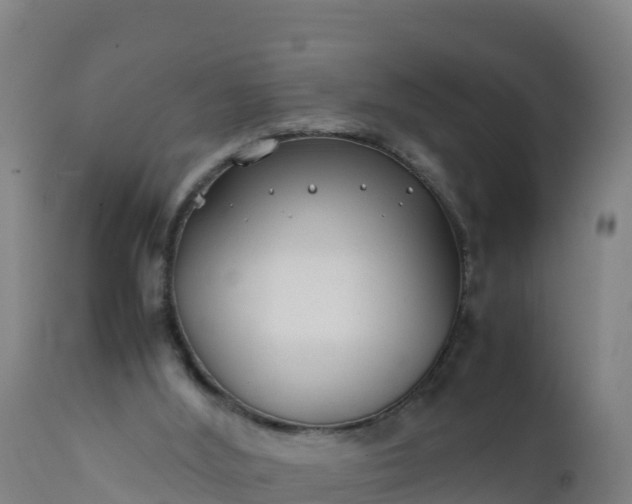 X0000112400012200908281801