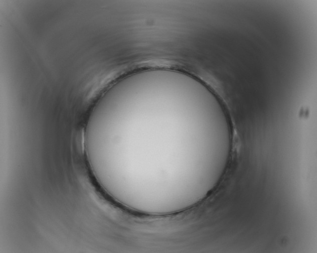 X0000112400013200908281801