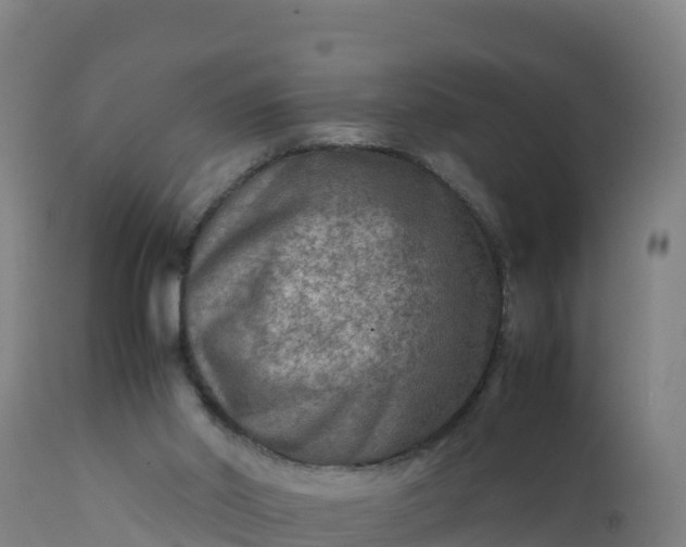 X0000112400014200908281801