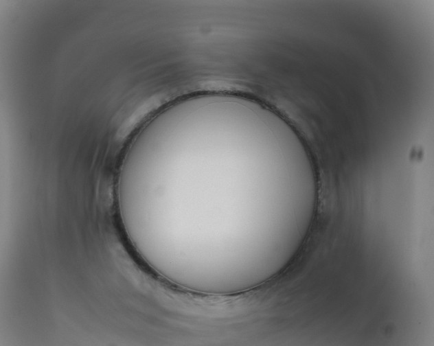 X0000112400015200908281801