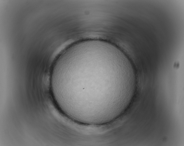 X0000112400016200908281801