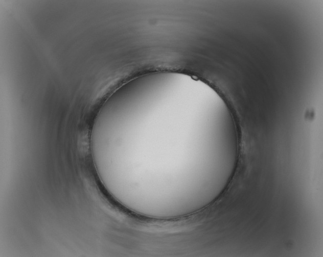 X0000112400017200908281801