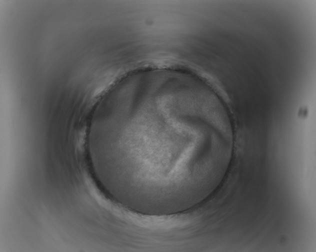 X0000112400018200908281801