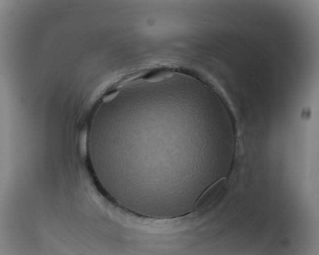 X0000112400019200908281801