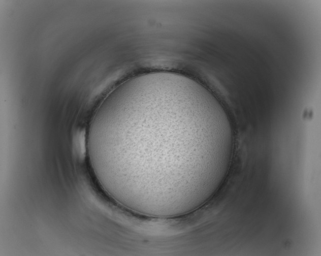 X0000112400020200908281801