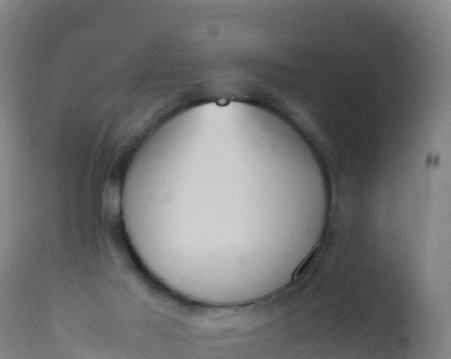 X0000112400021200908281801