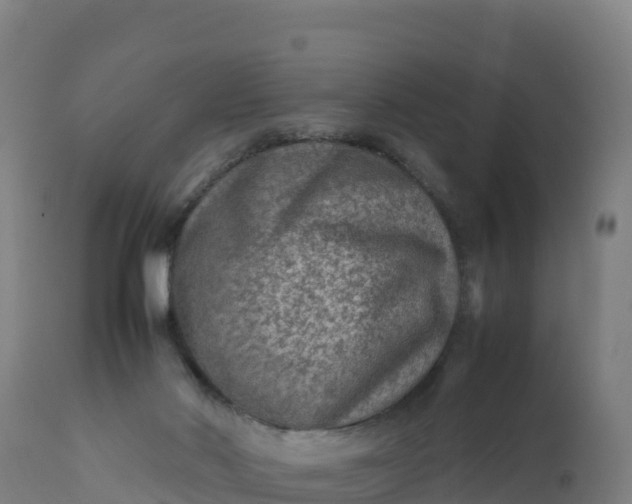 X0000112400022200908281801