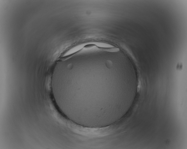 X0000112400023200908281801