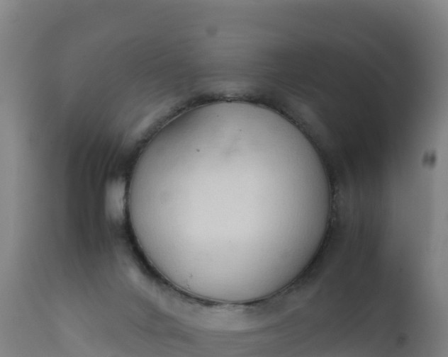 X0000112400024200908281801