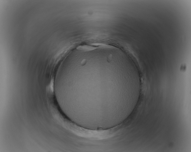 X0000112400027200908281801