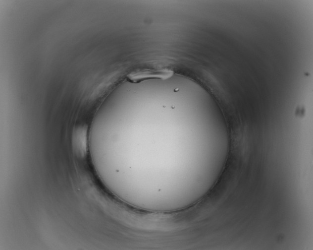 X0000112400028200908281801