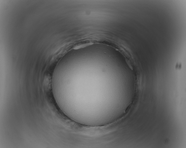 X0000112400029200908281801
