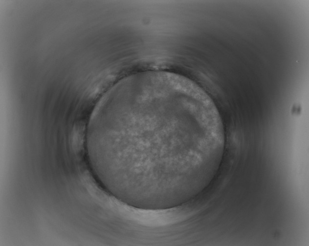 X0000112400030200908281801