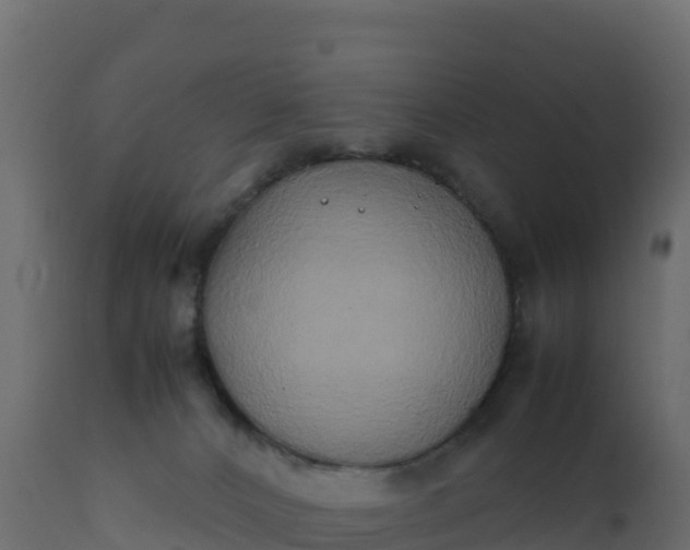 X0000112400032200908281801