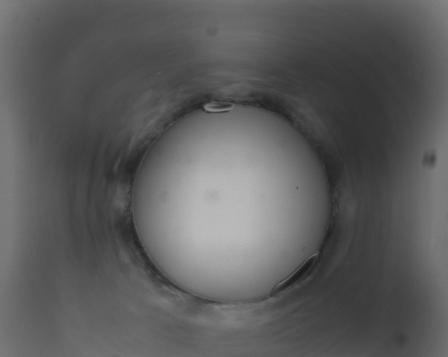 X0000112400033200908281801