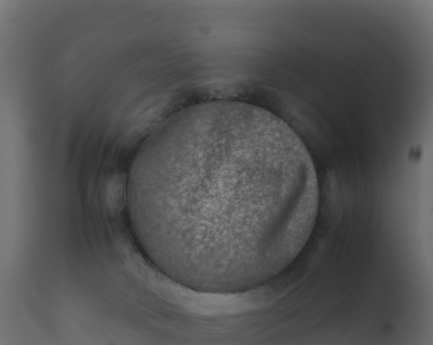 X0000112400034200908281801
