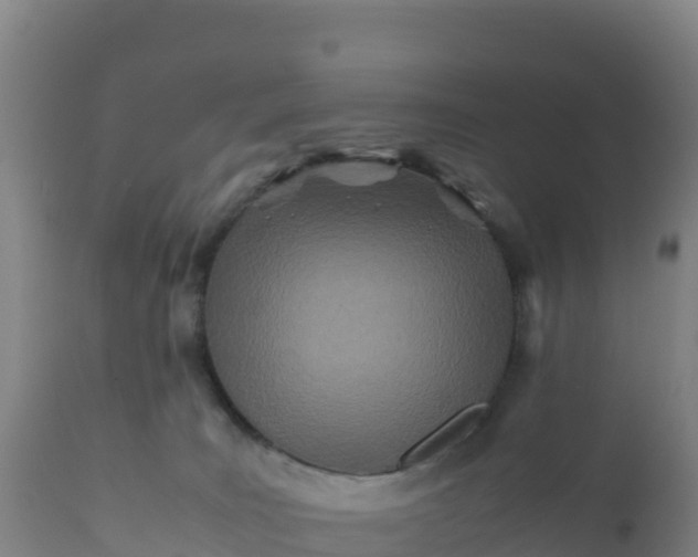 X0000112400035200908281801