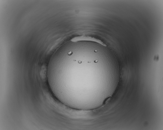X0000112400036200908281801