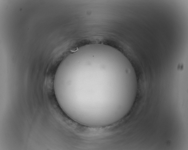 X0000112400037200908281801