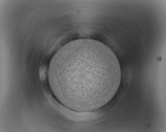 X0000112400038200908281801