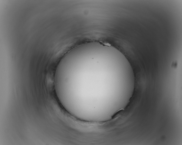 X0000112400040200908281801