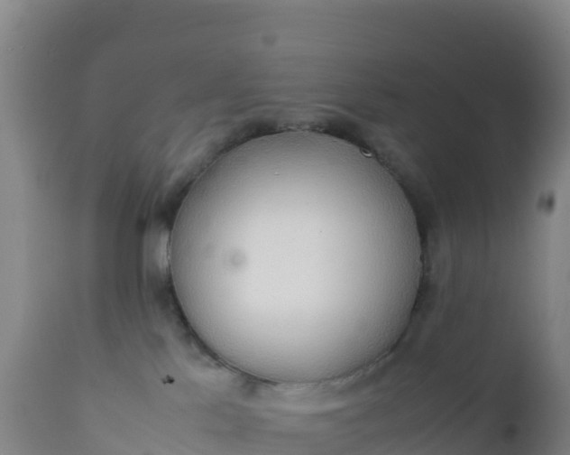 X0000112400041200908281801