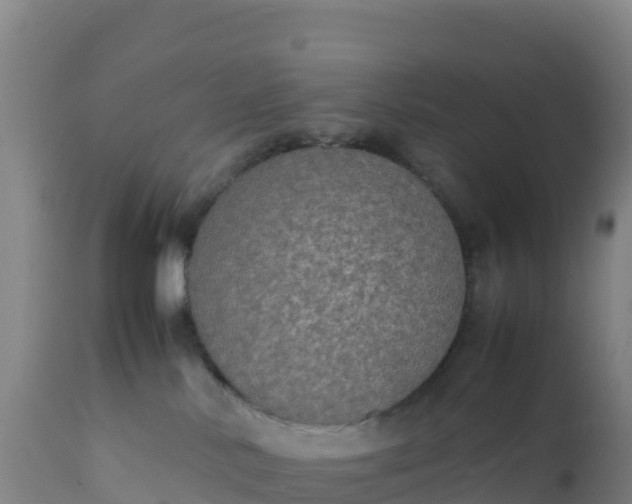 X0000112400042200908281801