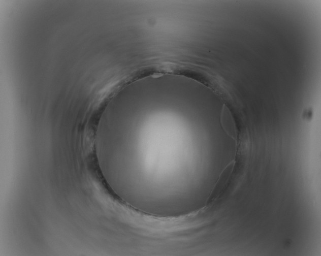 X0000112400043200908281801