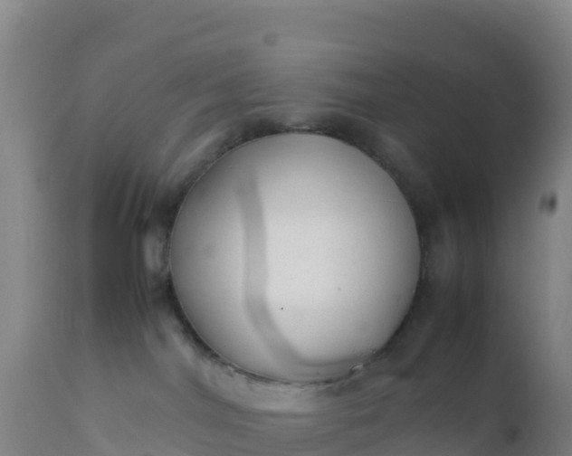 X0000112400044200908281801